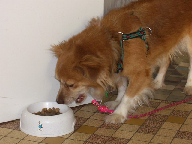 2007 05 03 CIMG2295