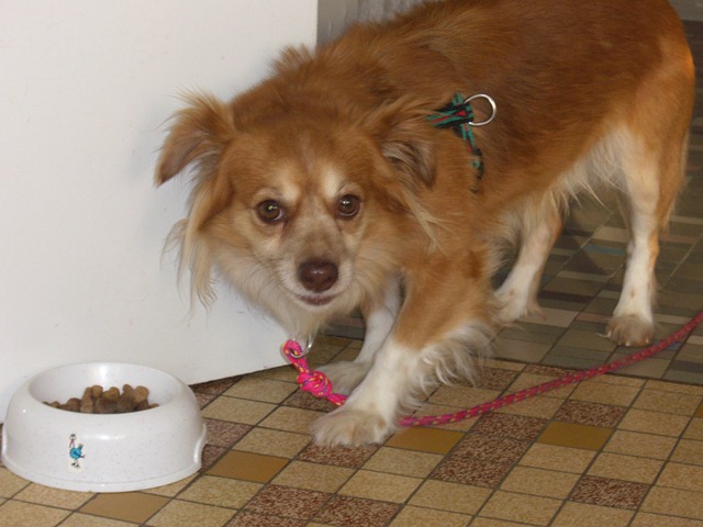 2007 05 03 CIMG2296