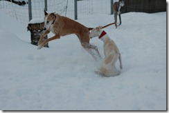 2010-02-14-DSC_3292