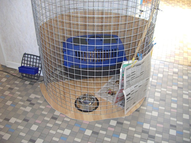 2007 03 20 CIMG2049 20070320CIMG2049
