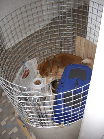 2007 03 27 CIMG2060