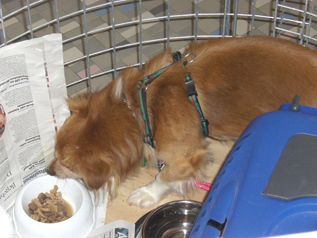 2007 03 27 CIMG2061