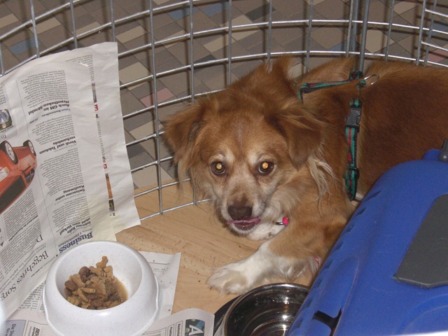 2007 03 27 CIMG2062