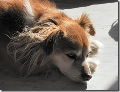 2010-07-13-SAM_0100