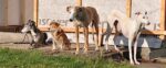 2011 06 10 06 23 06 dsc 5234 arbeitskopie 2