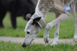 20120317 104948 dsc 3222 export
