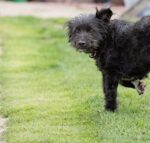 20120421 124215 export.jpg
