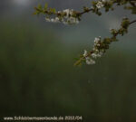 20120428 080257 3 ex