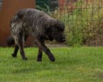 20120624 094739 6 export.jpg