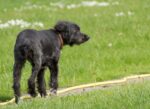 20120518 123444 3 export