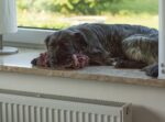 20120701 073937 export.jpg