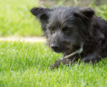 20120705 165600 export
