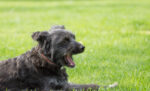 20120705 165655 2 export