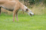 20120716 162752 export