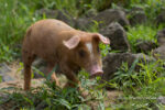 20120719 135132 2 export2