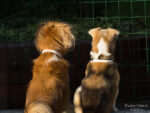 20120723 194540 export