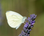 20120724 170021 2 export