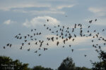 20120730 192334 3 export