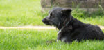 20120705 165428 export