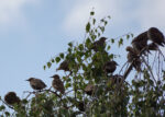 20120806 172712 3 export 2