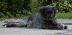 20120810 195503 export