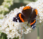 20120829 164112 2 export
