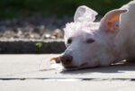 20120923 155325 export