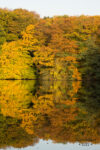 20121019 085030 export