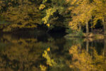 20121019 085133 export