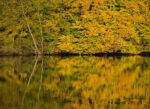 20121019 085142 export