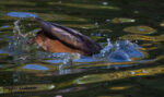 20121019 092809 3 export wz