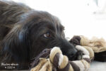 20121028 114219 blaustern export