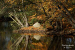 20121028 132010 blaustern export