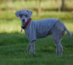 20121028 141906 3 export