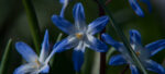 2012 03 24 11 33 42 dsc 4309 export