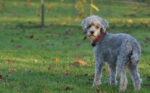 20121130 160714 export