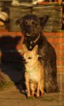 Krümel und mäxchen