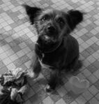 Wpid img 20121128 060059.jpg