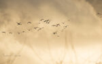 20130102 162007 export