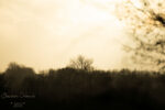 20130102 162117 2 export