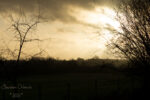 20130102 162143 export