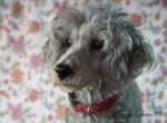 20130416 172915 3 export