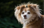 20130516 115405 export 2