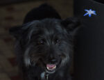 20130702 172017 slt a77v export