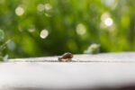20130730 184650 slt a77v export