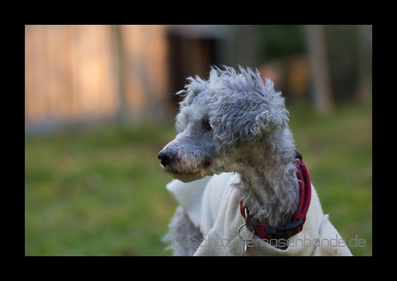 20140211 172113 schl
