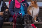 Peggy, lisa und cooper