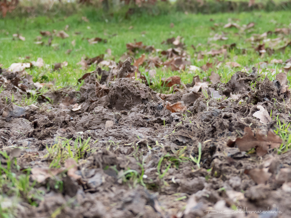 Schlammschlacht im Garten