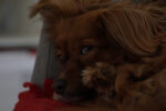 Happybirthday cleo