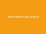 Tierarzt: arielle ist so klein, ist das ok?
